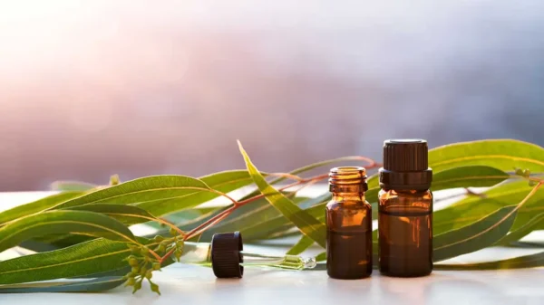 Oils