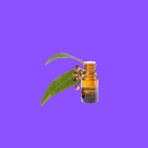 Eukalyptusöl 100% Rein – Erfrischendes Aroma für Klarheit und Vitalität